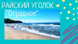 ✨Секретные, сказочные дороги к Балтийскому морю 🌈Отрадное - райский уголок Калининградской области