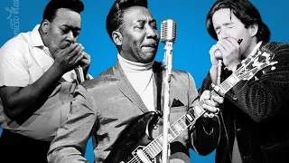 Top 4 Muddy Waters Riffs on Harmonica