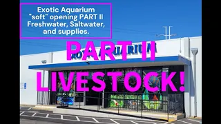 Exotic Aquarium Part II  Livestock