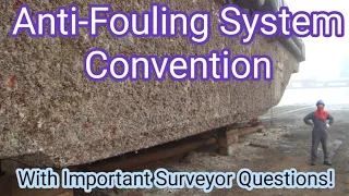 Anti-Fouling System Convention- All you need to know with important Surveyor Questions on the topic!