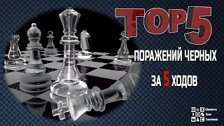 ТОП 5 ПОРАЖЕНИЙ ЧЕРНЫХ ЗА 5 ХОДОВ! МАСТЕРА И ГРОССМЕЙСТЕРЫ ПРОИГРЫВАЮТ В 5 ХОДОВ  В ШАХМАТЫ