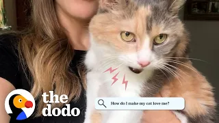 Cat Answers Most Googled Questions About Cats | The Dodo Cat Crazy