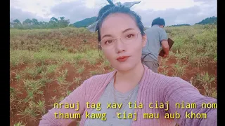 nrauj kuv tag thaum kawg ciaj maum aub khom 30/9/2021