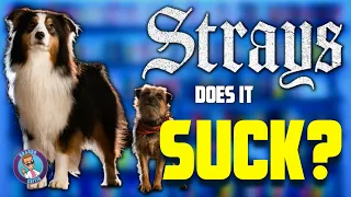 STRAYS - Movie Review | BrandoCritic