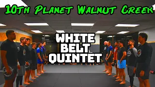 10p Jiu Jitsu Walnut Creek Game Night   White Belt Quintet