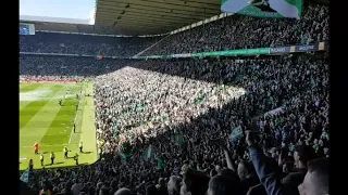 Celtic Fans - Beautiful Sunday - Trophy Day 7 in a row - 13.5.18