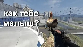 #29 CS:GO  ЧАЙКА НА СЛОНЕ