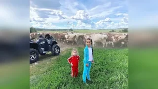 Бородина, Теона и Маруся смотрят на коров в деревне