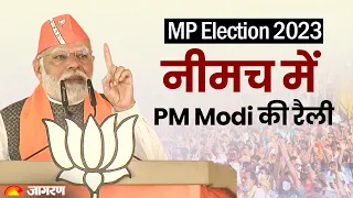 LIVE: PM Modi addresses a public meeting in Neemuch, Madhya Pradesh | MP Election 2023