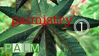 Palmistry Compilation Vol. 1 | One-hour introduction to the world of PALM Pictures