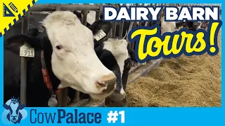 Dairy Barn TOURS! | Building Our Cow Palace - Ep1 - SERIES PREMIERE!