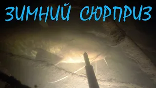 Подводная охота - Зимний сюрприз