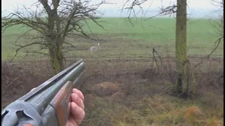 раздача зайца на дальнем кордоне
