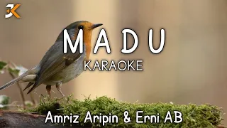 KARAOKE MADU || Amriz Arifin Feat Erni AB || Versi Korg pa50 ||