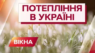 Потепління до +8 °C! Коли весна прийде в Україну | ПРОГНОЗ ПОГОДИ В УКРАЇНІ | Вікна-Новини