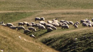 Natură și aventură - Harta păstrăvului în România, râul Șes