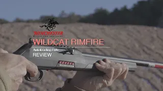 Winchester Wildcat Autoloading Rimfire Rifle Review