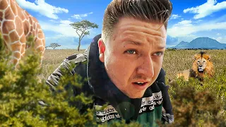 Lost in African Bush