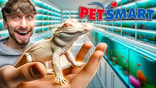 Taking Baby Albino Alligator To Petsmart!