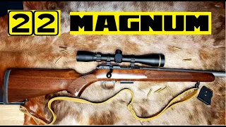 22 MAGNUM: My favorite small game cartridge