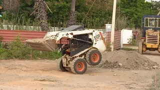 sri lankan Bob cat s130  waddo.