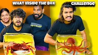 WHAT INSIDE THE BOX CHALLENGE 🤩 | WITH FAMILY