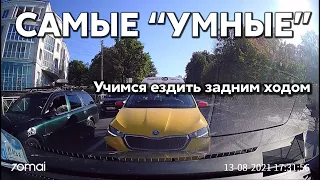 Подборка САМЫХ "УМНЫХ" водителей #552