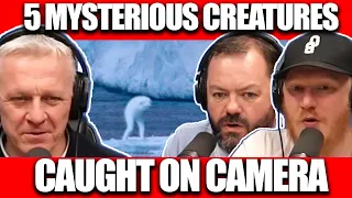 5 Mysterious Creatures Caught on Camera | OFFICE BLOKES REACT!!