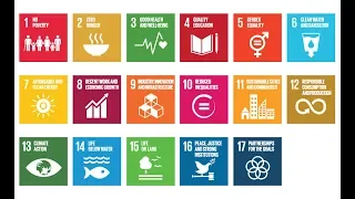 The SDGs:  issues and challenges