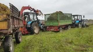 ждем "У ПОЛЯ  ПОГОДЫ". уборка отходов после кургана. ЗА КОРМАМИ НА ДАЛЬНЯК