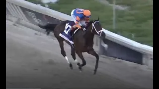 Fierceness Wins the Florida Derby - Derby Prep -  Gulfstream Park - 3/30/24