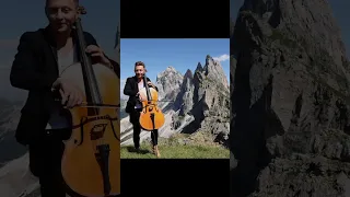 Titanium Cello