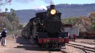 Pichi Richi Railway - Afghan Express Part 3 - 1 Oct 2016