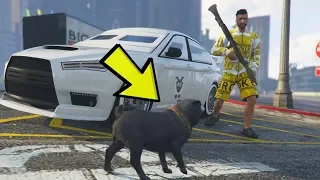 Playing as ANIMALS in GTA 5 online!