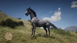 Red Dead Redemption Чистокровная лошадь, быстрее арабской