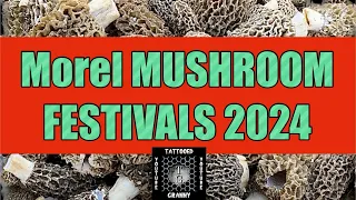 🔥2024 Spring Morel Mushroom Festivals🔥 #morelmushroomhunting, #foraging