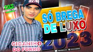 CIGANINHO DO FORRÓ ! SÓ BREGA DE LUXO (2023)