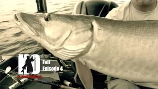 Early Season Muskies on Lake Vermilion, Minnesota