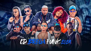 CD BREGA FUNK 2024 / AS MELHORES DO MOMENTO