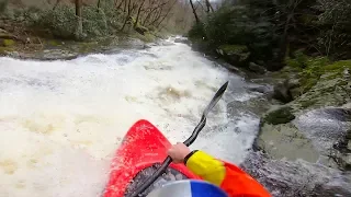 "IT"S ROWDY IN THERE!!" | Raven Fork at 20 Inches