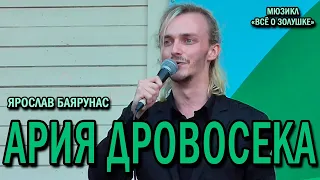 Ярослав Баярунас - Ария Дровосека (мюзикл «Все о Золушке»)