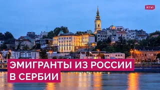 Жизнь россиян в Сербии: чем страна привлекает и с чем сталкиваются приезжие