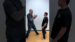 Straight Punch Counter for Self Defense