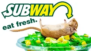 Top 10 Things Subway DOESN'T Want You To KNOW!