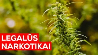 AR ŽINAI, KAD? Dabartiniai nelegalūs narkotikai kažkada buvo legalūs?