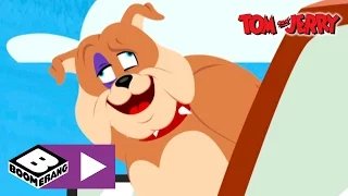 Tom & Jerry | The Doggy Of Doom | Boomerang UK