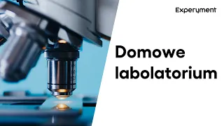 Domowe laboratorium | ZDALNY EXPERYMENT #10