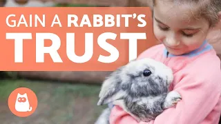 How to Gain the TRUST of a RABBIT? 🐰🥕 (9 Key Tips)