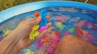 ENCHI A PISCINA COM DINOSSAUROS QUE CRESCEM NA ÁGUA!