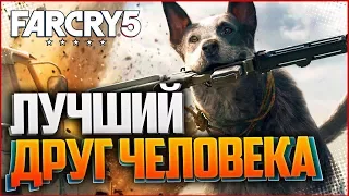 FAR CRY 5 ПРОХОЖДЕНИЕ НА РУССКОМ I#3I - ЛУЧШИЙ ДРУГ ЧЕЛОВЕКА